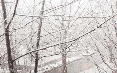 Maintain Your Roof During Winter Months to Avoid Damage