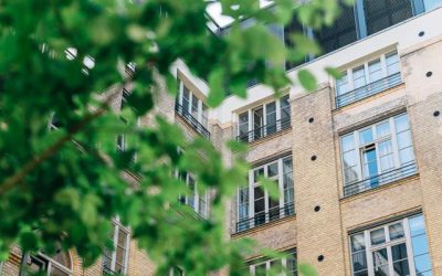 Recognize the Impacts of Trees Around Your Building