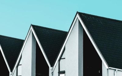 Revitalize Your Home with the Perfectly Colored Roof