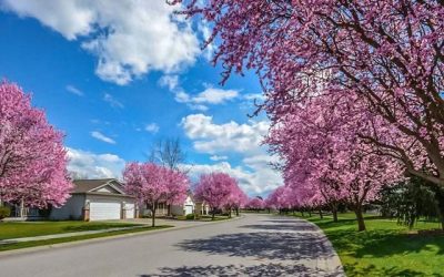 Your Checklist for Spring Cleaning Your Roof