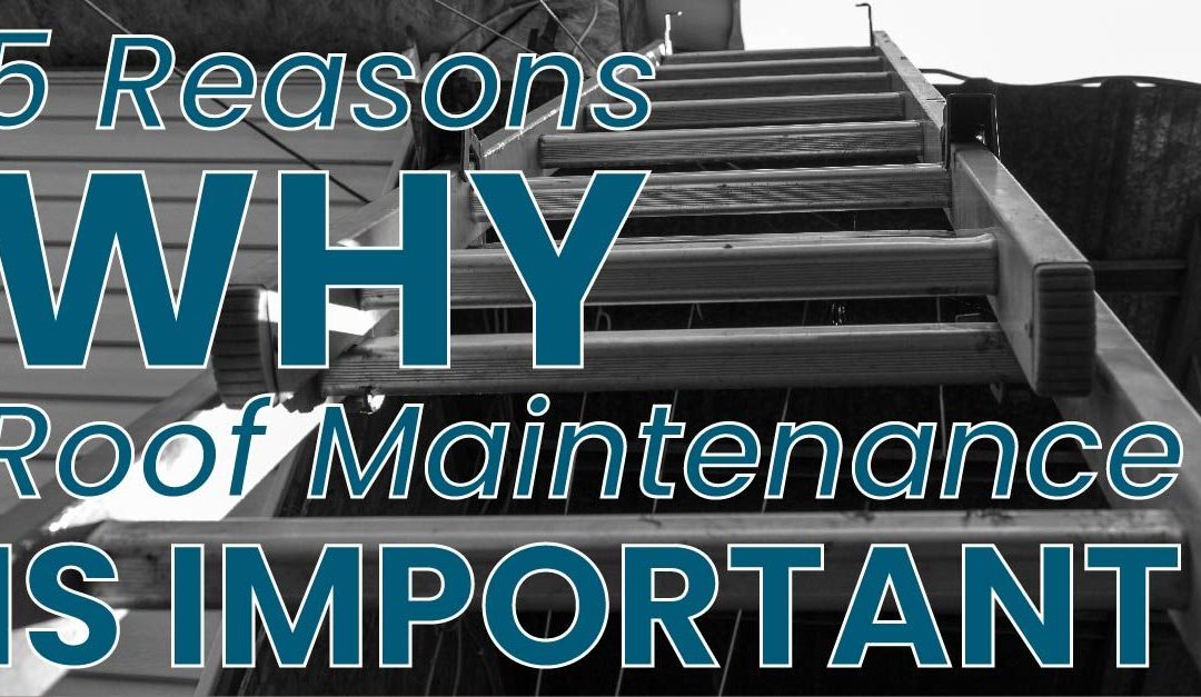 5 Reasons Why Roof Maintenance Is Important