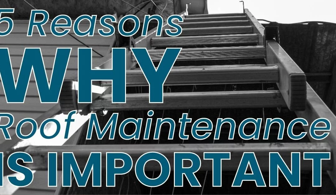 5 Reasons Why Roof Maintenance Is Important