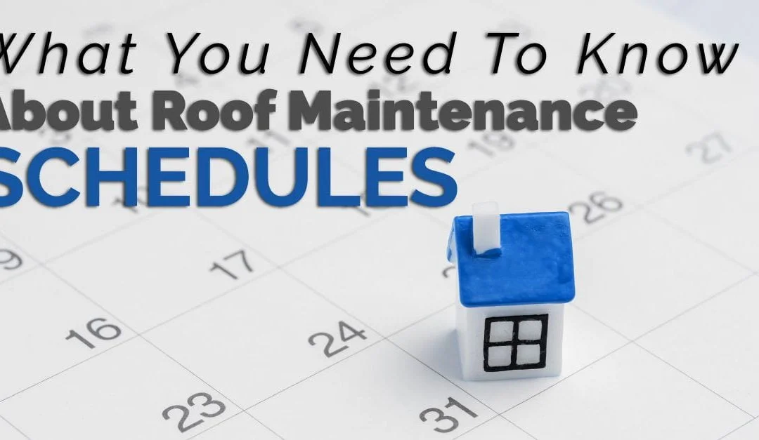 What You Need To Know About Roof Maintenance Schedules